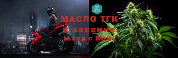 прущие грибы Балабаново
