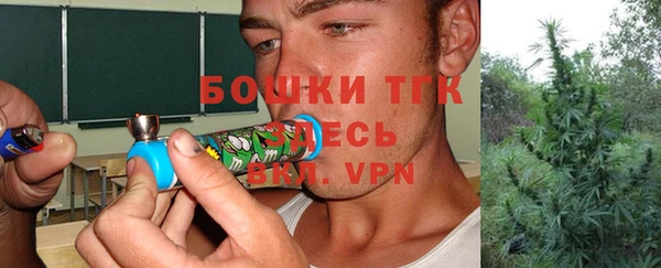 прущие грибы Балабаново