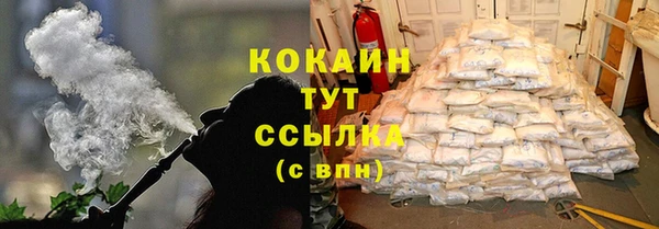 прущие грибы Балабаново