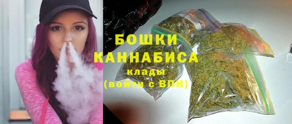 прущие грибы Балабаново