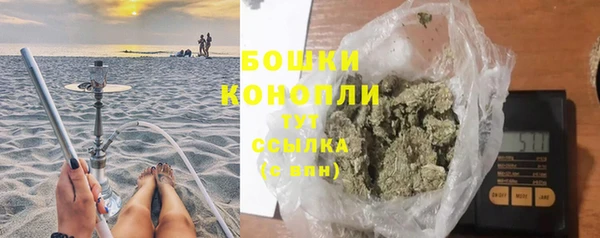 прущие грибы Балабаново